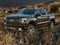2020 Chevrolet Silverado 1500 LT Trail Boss Flood Title
