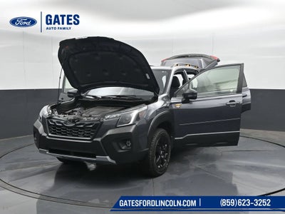 2024 Subaru Forester Wilderness