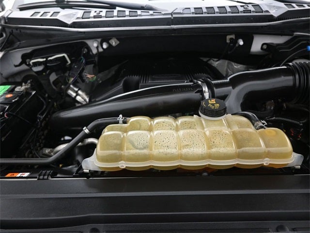 2019 Ford F-150 Base