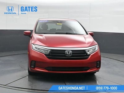 2024 Honda Odyssey Touring