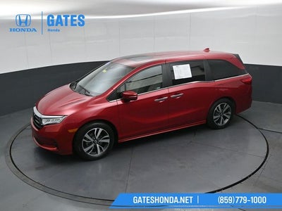 2024 Honda Odyssey Touring