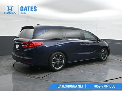 2024 Honda Odyssey Elite