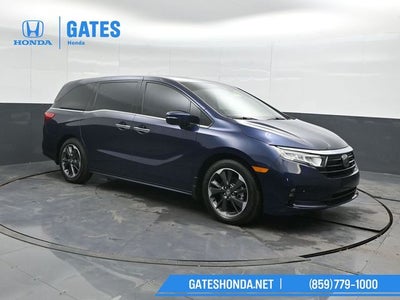 2024 Honda Odyssey Elite