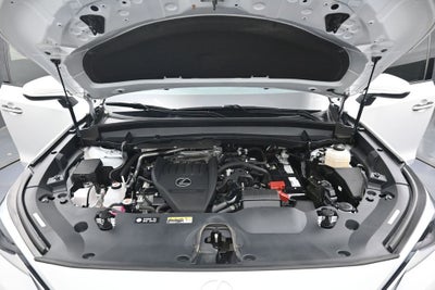 2024 Lexus TX 350 Premium