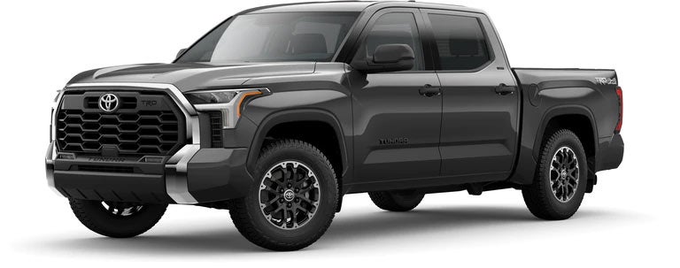 2022 Toyota Tundra SR5 in Magnetic Gray Metallic | Toyota South in Richmond KY